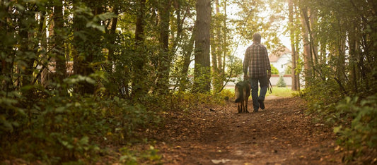 Navy Veteran Finds New Source of Joy with Rescue Dog